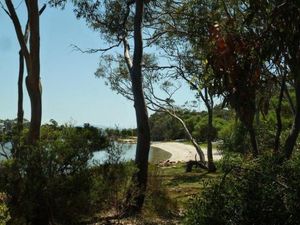 Image of Lilys by the Lake