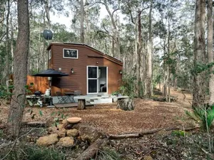 Image of Luxury Tiny Homes in the Forest