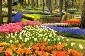 Image of Guesthouse at the Amstel river with 2BR 2BA and garden