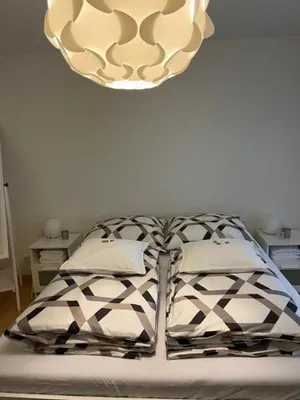 Image of Amazing lakeview flat Horn