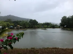 Image of Homestay De Kolam Kuala Nerang