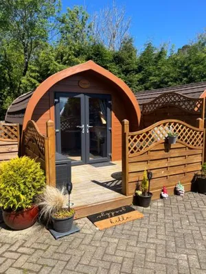 Image of Conifer Cabins