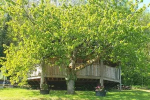 Image of Chalet cocooning pleine nature