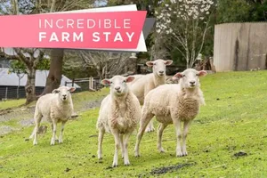 Image of Carawatha on The Range - Unique Farm Stay