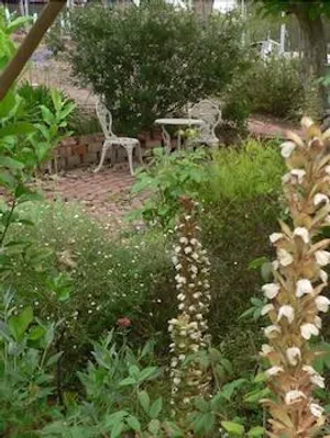Image of Acorn Cottage