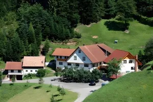 Image of Holderstanzenhof