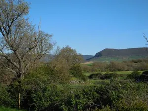 Image of Gîte de Grailhes