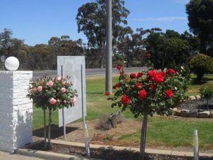 Image of Motel Dimboola