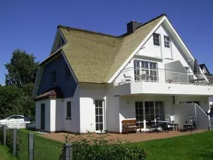 Image of Sonnenblume