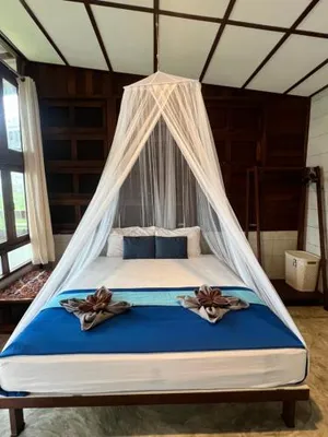 Image of Tiger homestay 2 Phayam