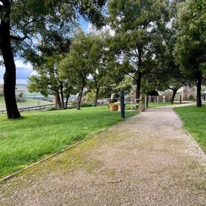 Image of Bundaleera Vineyard and Farm Stay