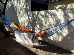 Image of Casa Gallego - peaceful private westside home