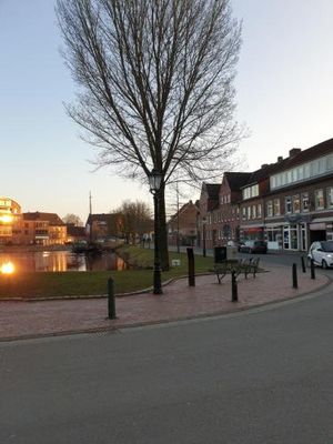 Image of Calici