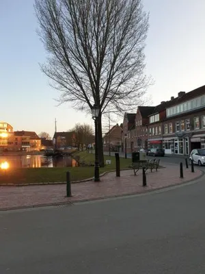 Image of Calici