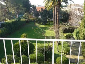Image of Les Palmiers
