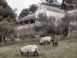 Image of House on the Hill Bed and Breakfast