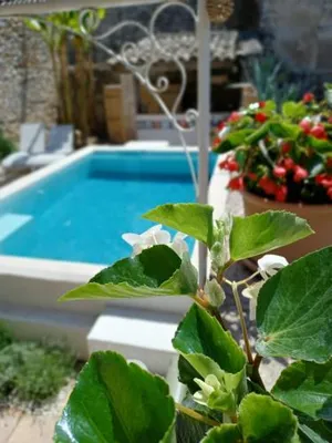 Image of Chez les filles