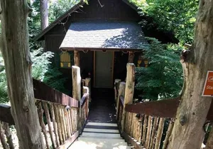 Image of Chateau Treehouse #11 @ Oak Crest Cottages and Treehouses