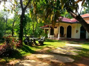 Image of Habarana Tree house Mutu village