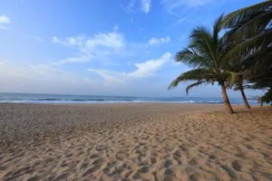 Image of Mangrove Beach Cabana