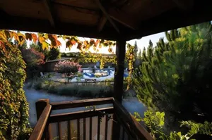 Image of L'arbre - Gîtes De La Tournerie