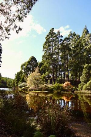 Image of Gleneagle Tasmania