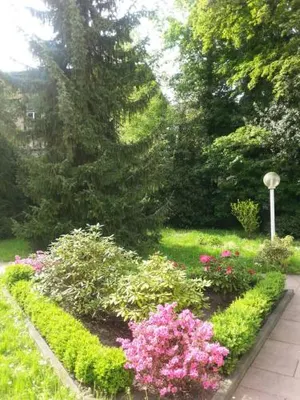 Image of Apartment near Villa Turgenev