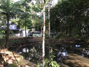 Image of Koala Cabins Sunshine Coast