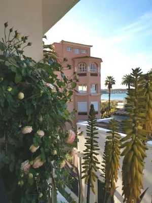Image of OFDL B T1 BANDOL - Briotine Foyalais