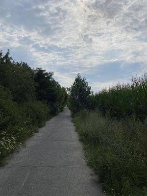 Image of Ferien am Berliner Mauerweg