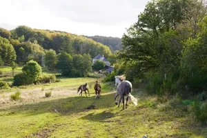 Image of Ferme Équestre Equi'Cantal
