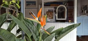 Image of B&B Fischerstüble - adults only