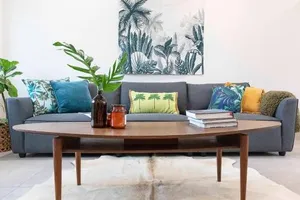 Image of 'Botanica Paradiso' A Vibrant Nightcliff Solace