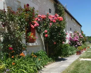 Image of La maison des fleurs