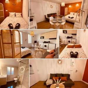 Image of Le Wild Terracotta - Home Homy