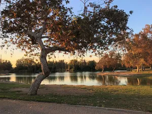Image of Rosemead Homestay