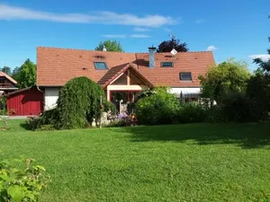 Image of Le grivé