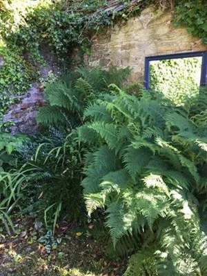 Image of 2 Emma Place