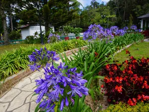 Image of Fathers Guesthouse Bungalow