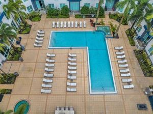 Image of 3 min to Dt Tampa and Amalie Arena - Cozy 1BR - Pool