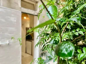 Image of Studio centre Paris calme cosy