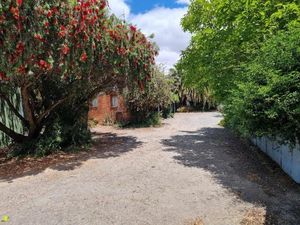 Image of La Cochon Rose Motel