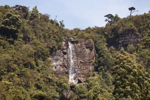 Image of Tathya Hills Nuwaraeliya