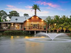 Image of Lilies on Lovedale Lakeside