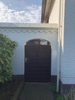 Image of De grote Zeearend