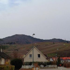 Image of Les vignobles d'Alsace
