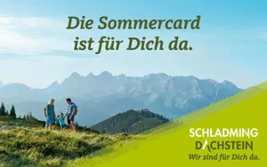 Image of Bankwirt
