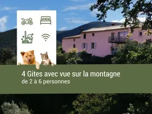 Image of Pyrénées Mon Amour