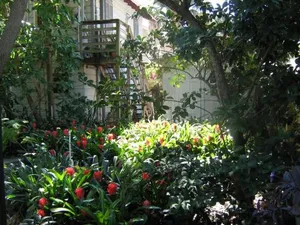 Image of The Treehouse