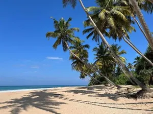 Image of Rainbow Beach Hotel